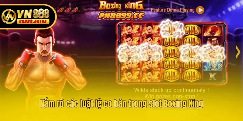 Nắm rõ các luật lệ cơ bản trong slot Boxing King